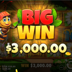 Honey Bee Slot Oyunu: Detaylı Rehber ve Oynama İpuçları